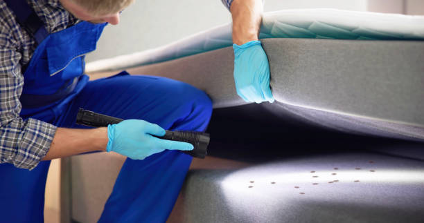 Best Emergency Pest Control  in Woodsi East, DE