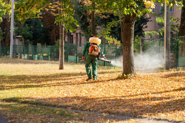 Best Best Pest Control Companies  in Woodsi East, DE