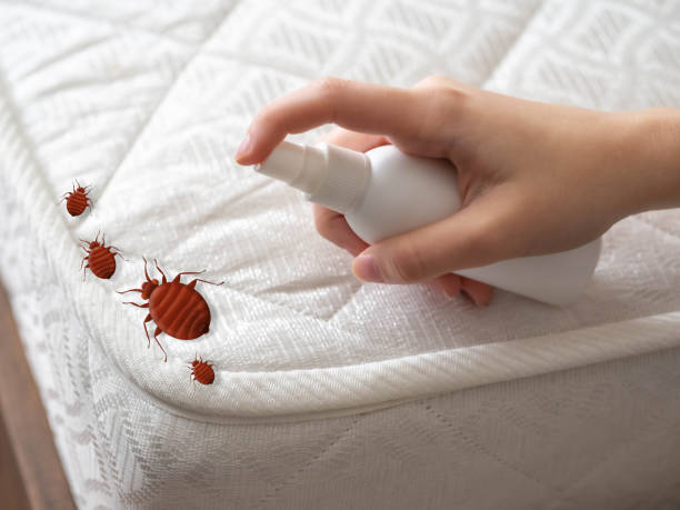 Best Affordable Pest Control Services  in Woodsi East, DE