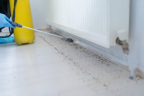 Best Pest Prevention Services  in Woodsi East, DE