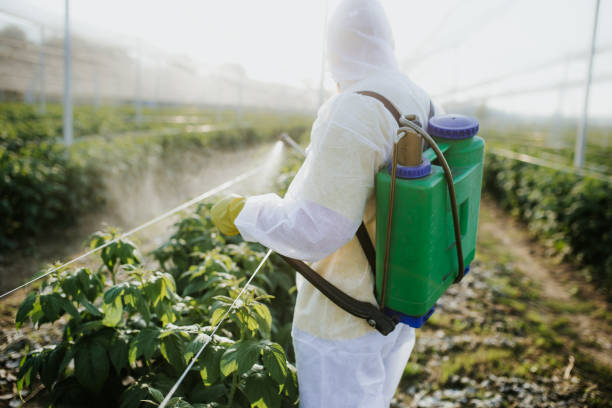 Best Pest Control Near Me  in Woodsi East, DE